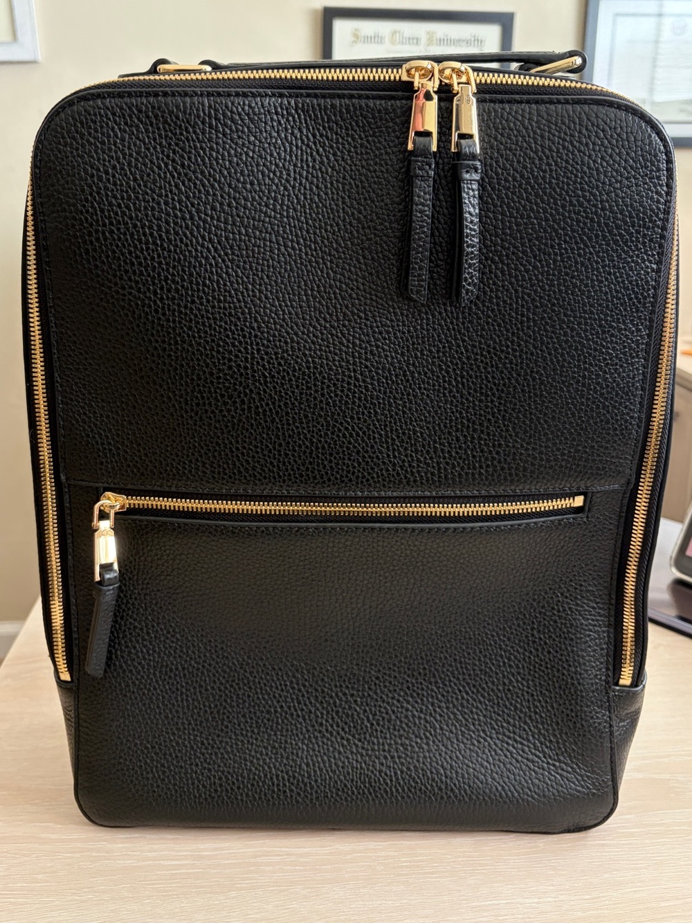 Quince Laptop Backpack
